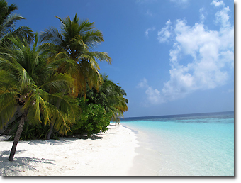 Pristine white sandy beach in Maldives Concept Voyages